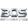 Brotherhood Of Streets RP FiveM server icon