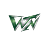 WTN CITY FiveM server icon