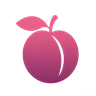 Plum Scripts FiveM server icon
