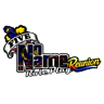 NoNameRP^Reunion FiveM server icon