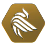 Reload: Phoenix FiveM server icon