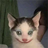 DAWUN FiveM server icon