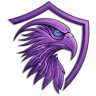 IRIS RP WIPE 04/09 FiveM server icon