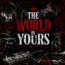 The World Is Yours FiveM server icon