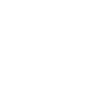 Swan Dev. Base FiveM server icon