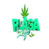 PLAGA LIFE FiveM server icon