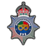 S999 FiveM server icon
