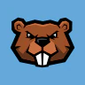STATE ROLEPLAY FiveM server icon
