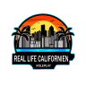 DevServer FiveM server icon