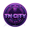 TN CiTY FiveM server icon