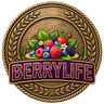 BerryLife FiveM server icon