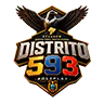 Distrito 593 FiveM server icon