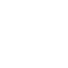 NightZoom FiveM server icon