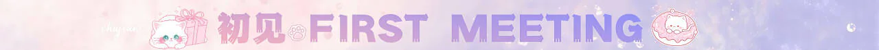 初见轻rp 1.0 进群咨询 招团队入驻给扶持 FiveM server banner