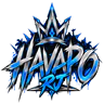 HAVAPO RJ | ROLEPLAY FiveM server icon
