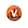 Velora Roleplay! FiveM server icon