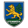 🌲Steinbrück Roleplay → 🛡️Anticheat 🚒 Feuerwehr & Rettungsdienst 🚓 Polizei & Justiz 🛠️ SBAC FiveM server icon