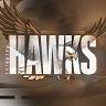 Hawks Roleplay #countytheme FiveM server icon