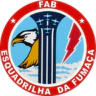 ESQUADRILHA DA FUMAÇA FiveM server icon