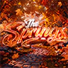 The Springs FiveM server icon