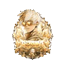 「 Prava ★ 」 ~ 「 سيرفر برافا للحياة الواقعية 」 ~ 「 Discord.gg/Pr 」 FiveM server icon