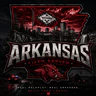 Arkansas Project!!lfg FiveM server icon