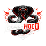 ⚡ BLACKHOOD Romania — NEW TURFS SYSTEM FiveM server icon