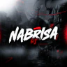 NABRISA RJ FiveM server icon
