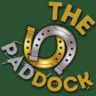 The Paddock | 18+ | Whitelist | PVE | Sandbox | Equestrian FiveM server icon