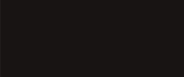 TIDE RP 2.0 FiveM server banner