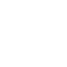 VS FiveM server icon
