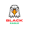🦅 | BLACK EAGLE RP | 🚗 VIP Cars | 💼 Realistic Jobs | 👕 Custom Clothes | 🚫 Anti-Cheat | 🛡️ Anti-DDOS | ⚙️ Smooth FPS FiveM server icon