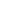 Newside RP FiveM server icon