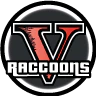 Raccoons V FiveM server icon
