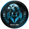 L1 Dev FiveM server icon
