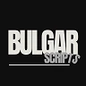 BulgaR Scripts - Scripts, Graphics, Others for RedM & FiveM FiveM server icon