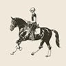 Equus FiveM server icon