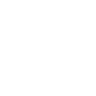 V-City | DEV FiveM server icon