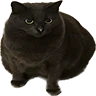 Boz Gaming FiveM server icon