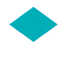 RFC MAPPING FiveM server icon