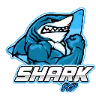 🦈SHARK RP NO WL🦈 |🔫PISTOLA & AUTO START🚗 | 💸100K START |💼 FAZIONI & ATTIVITA GTATIS 🍸 FiveM server icon