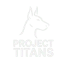Project Titans FiveM server icon