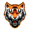 ELNmr Studio FiveM server icon