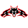 TheDevProject FiveM server icon
