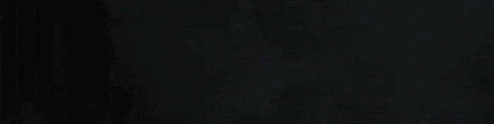 Reverse Test Server FiveM server banner