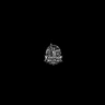 K$RP FiveM server icon