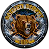 My new FXServer! FiveM server icon