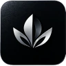 Lotus_V1 FiveM server icon