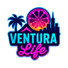 VNT FiveM server icon