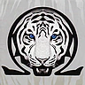 Coopera V FiveM server icon
